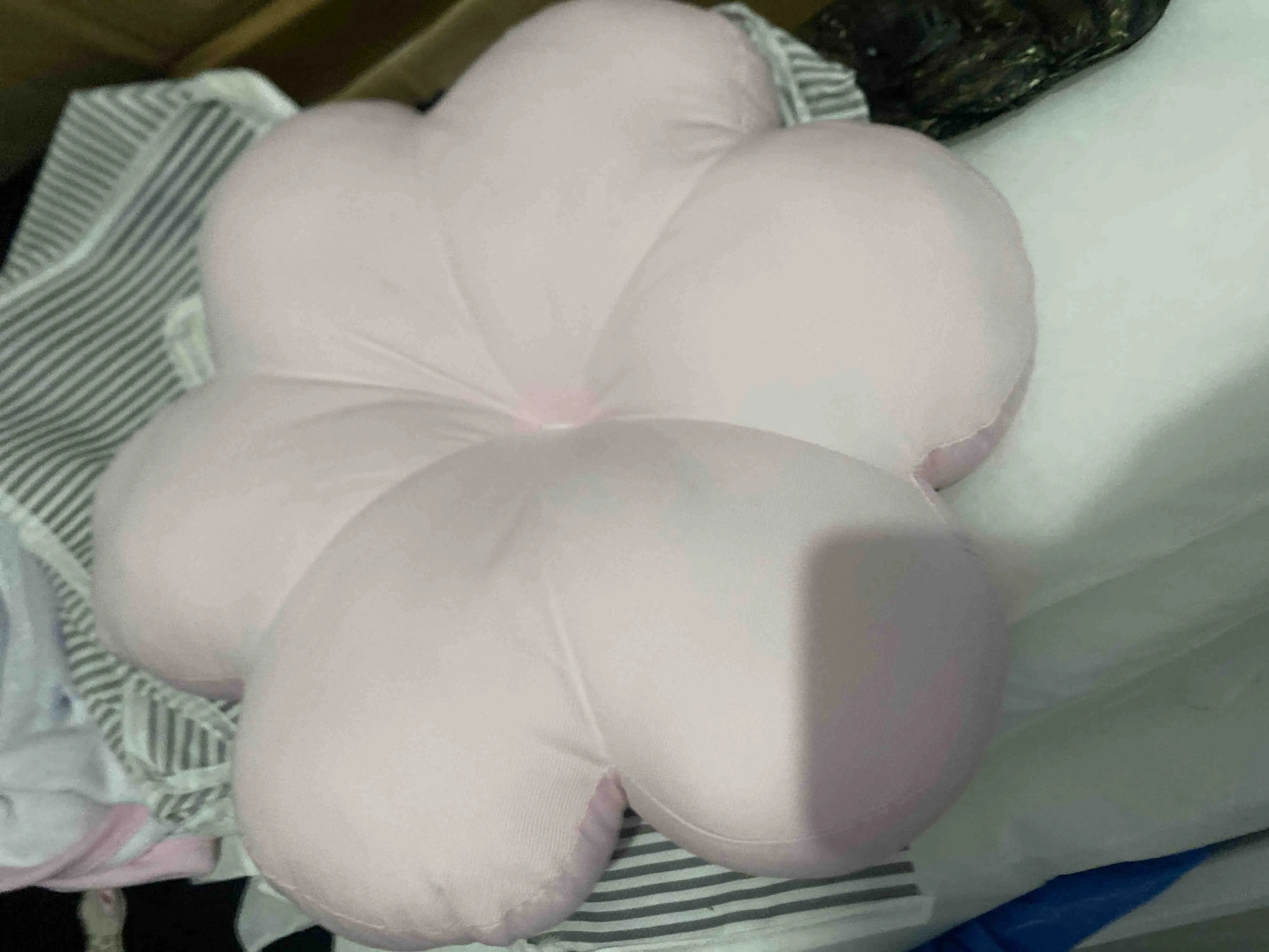 Z****** N**** fotoğrafı