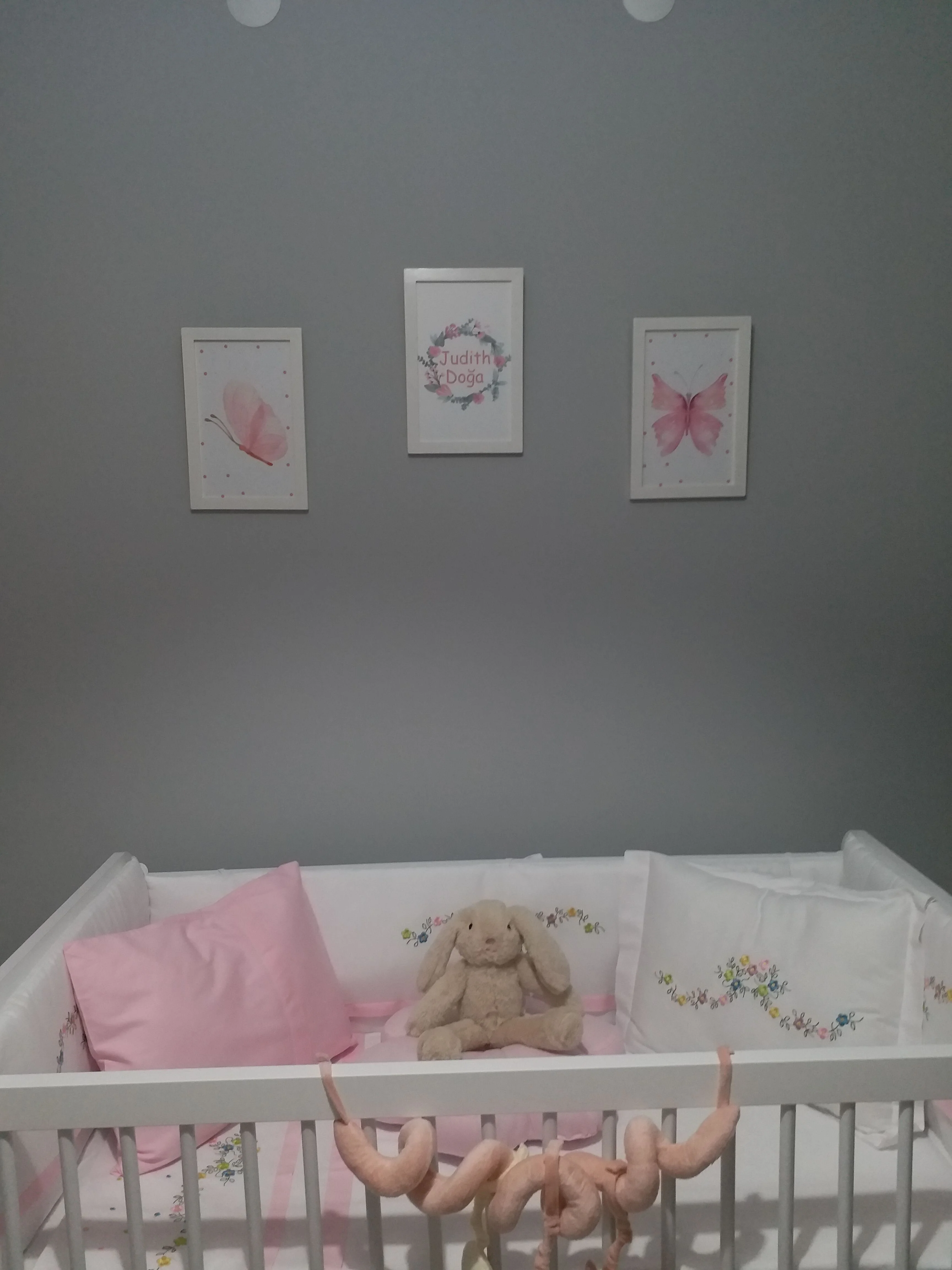 S***** M**** fotoğrafı