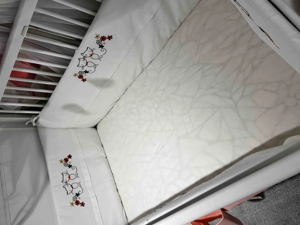 K**** S**** fotoğrafı