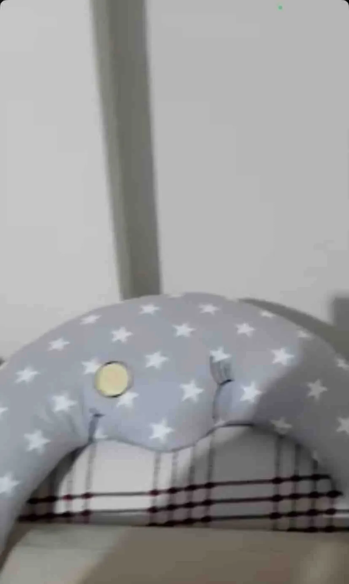 R***** P**** fotoğrafı