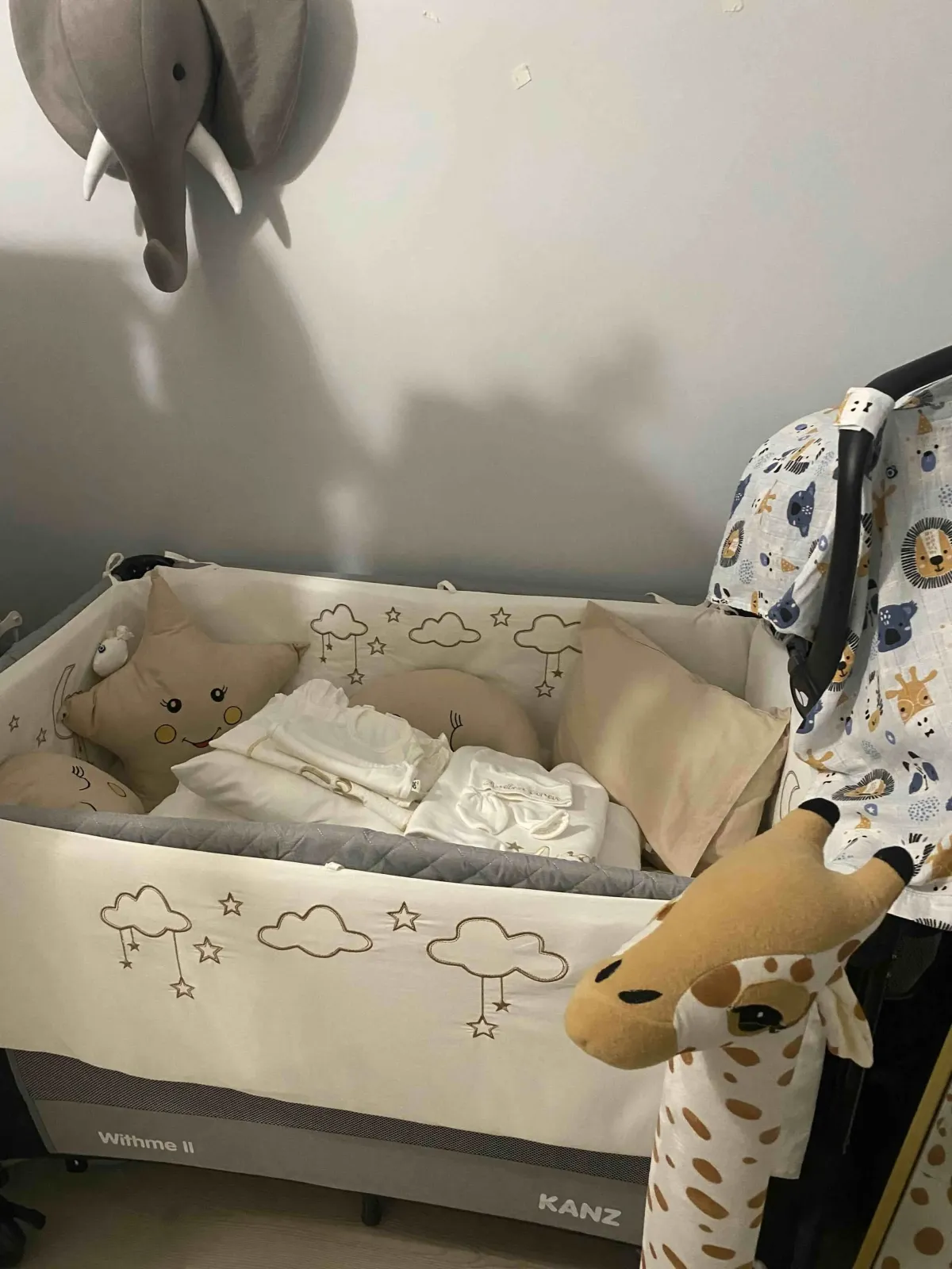 L**** Z**** fotoğrafı