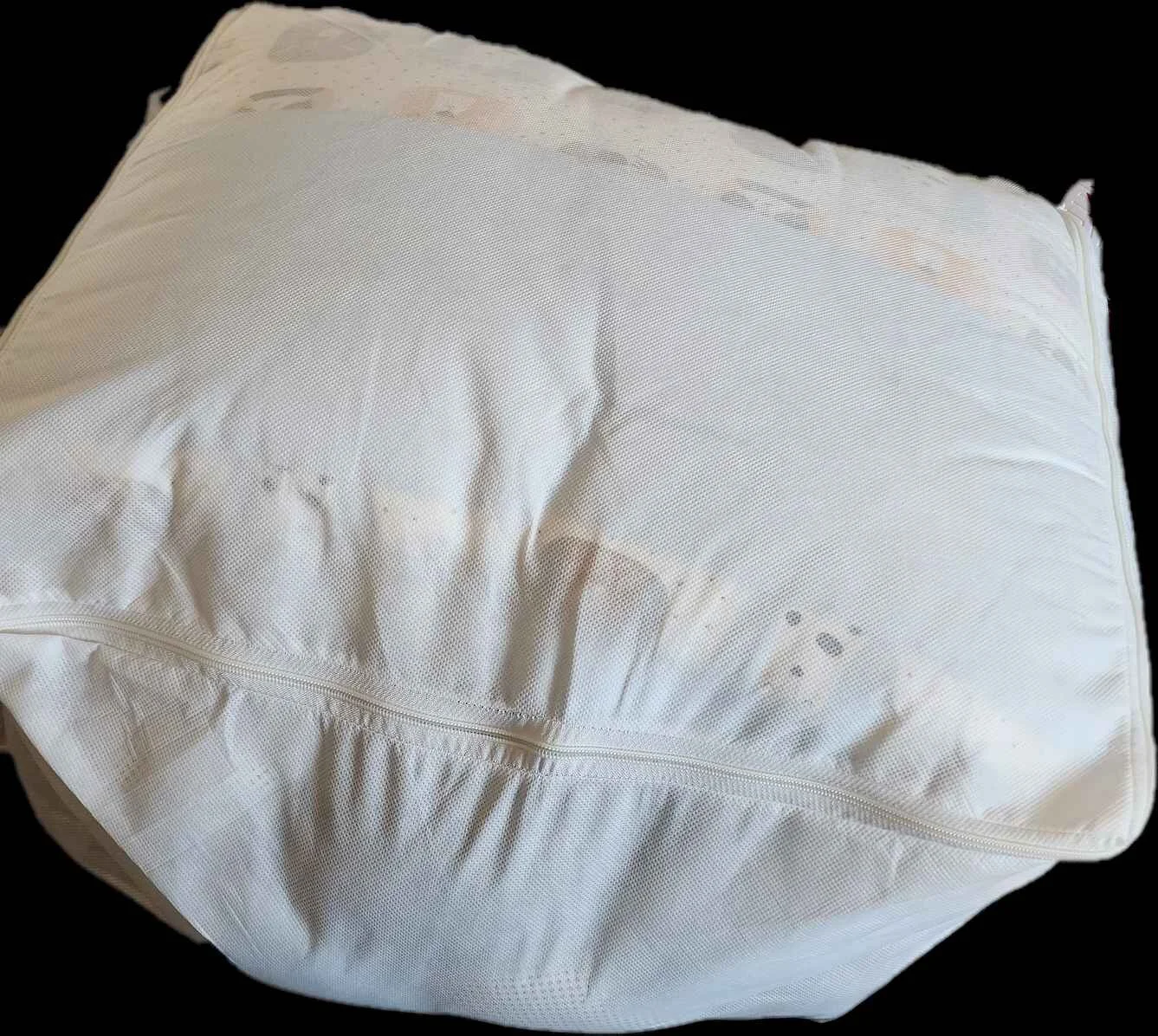 N**** E**** fotoğrafı